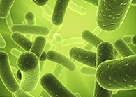 九游会老哥俱乐部将加入2013年欧洲生物春季展会