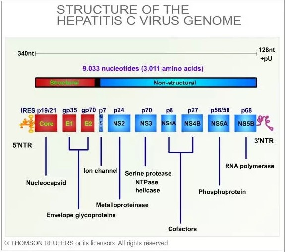 九游会老哥必备的交流社区_俱乐部论坛帖子