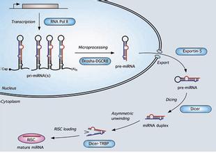 九游会老哥必备的交流社区_俱乐部论坛帖子