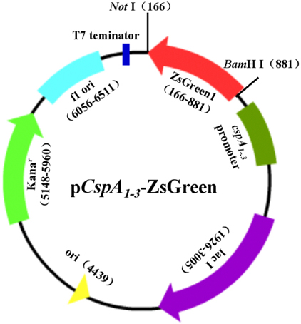 九游会老哥必备的交流社区_俱乐部论坛帖子