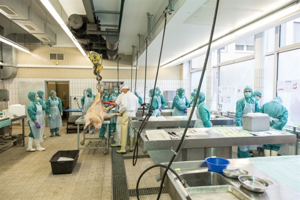 中国药企欧盟碰钉子：质量问题照旧标准差别？