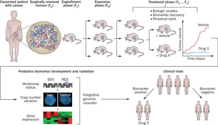 九游会老哥必备的交流社区_俱乐部论坛帖子