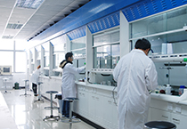 11月1日，九游会老哥俱乐部生物部和化学部开展年底促销运动