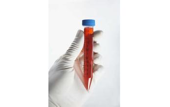 九游会老哥必备的交流社区_俱乐部论坛帖子