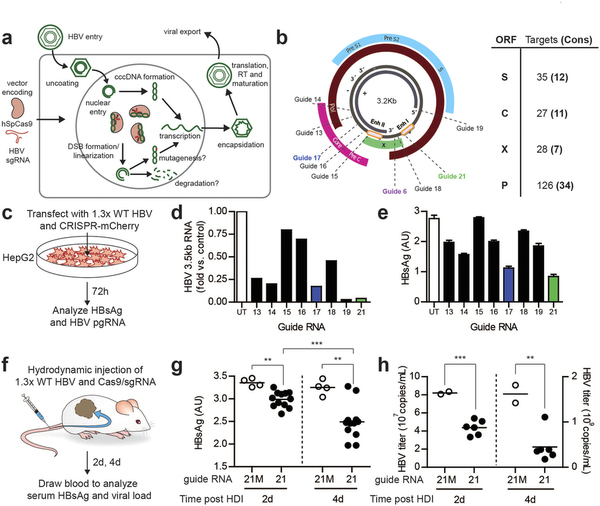 九游会老哥必备的交流社区_俱乐部论坛帖子