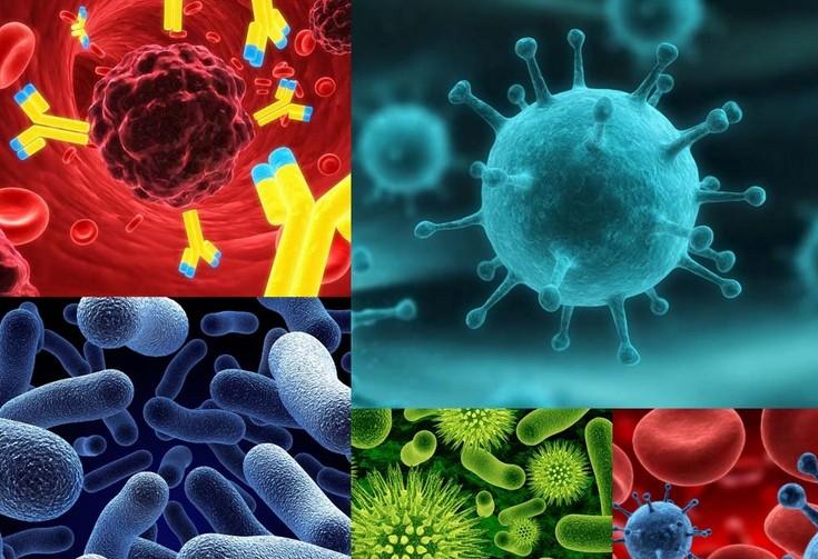 九游会老哥必备的交流社区_俱乐部论坛帖子