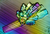 PD-1抑制剂成“抗癌神器”，海内外企业希望怎样？