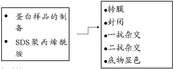 九游会老哥必备的交流社区_俱乐部论坛帖子