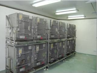 九游会老哥俱乐部猴房