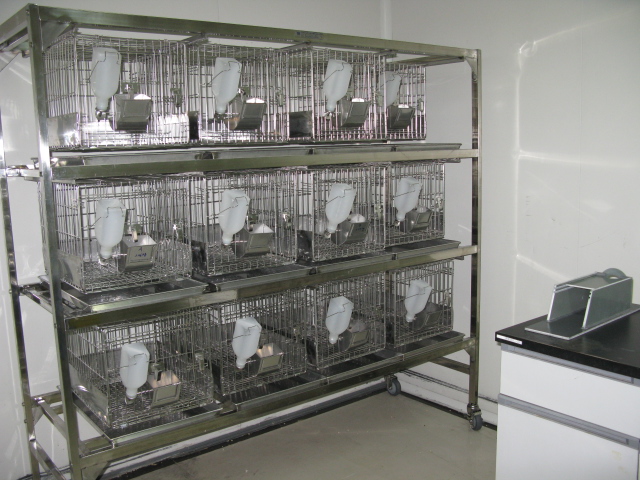 九游会老哥俱乐部普亚新动物房通过上海动管会验收