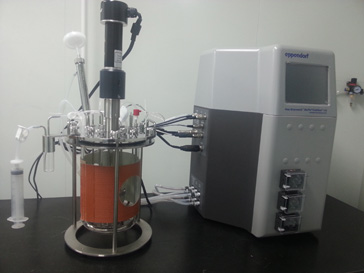 抗体卵白表达纯化仪器