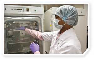 新药研发有望！科学家使用前线腺素E阻止癌细胞扩散