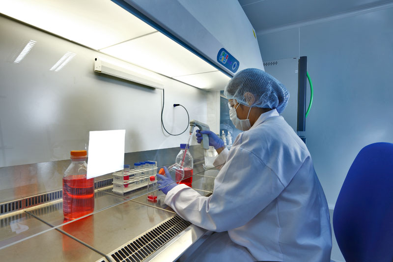 2015年药品特殊审评数据剖析：哪些新药搭上了快车？