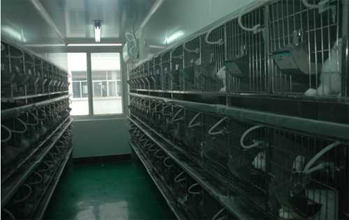 九游会老哥俱乐部实验动物房