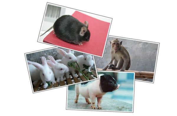 九游会老哥必备的交流社区_俱乐部论坛帖子