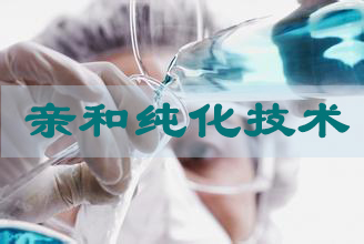 九游会老哥俱乐部亲和纯化手艺效劳