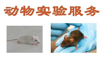 九游会老哥俱乐部动物实验外包效劳