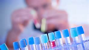 九游会老哥必备的交流社区_俱乐部论坛帖子