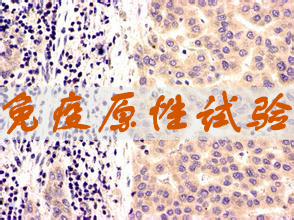 九游会老哥俱乐部免疫原性试验效劳