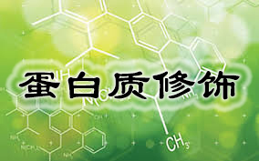 九游会老哥必备的交流社区_俱乐部论坛帖子