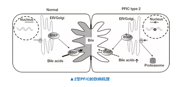 九游会老哥必备的交流社区_俱乐部论坛帖子