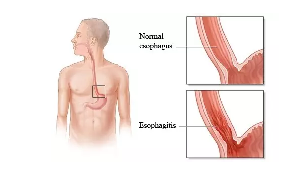 九游会老哥必备的交流社区_俱乐部论坛帖子