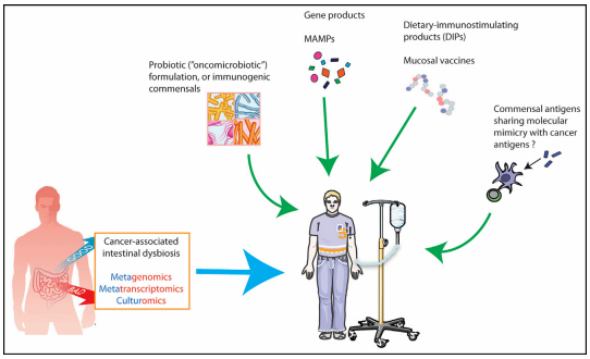 九游会老哥必备的交流社区_俱乐部论坛帖子