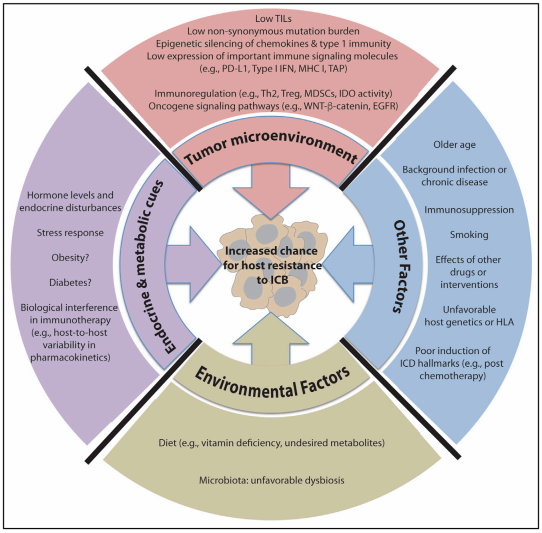 九游会老哥必备的交流社区_俱乐部论坛帖子