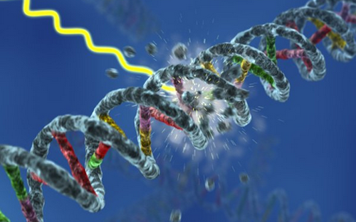 九游会老哥必备的交流社区_俱乐部论坛帖子