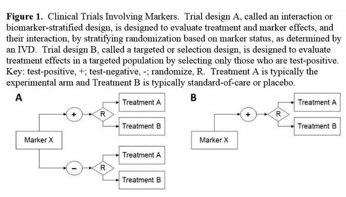 九游会老哥必备的交流社区_俱乐部论坛帖子