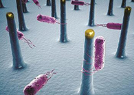 未来的药丸里，可能有一万亿小我私家工刷新的细菌？