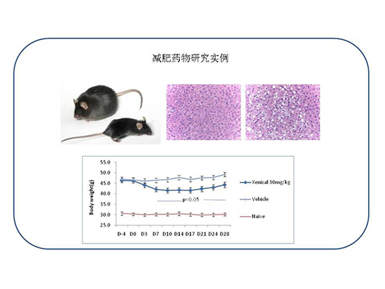 九游会老哥必备的交流社区_俱乐部论坛帖子