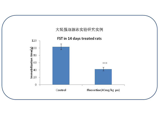 九游会老哥必备的交流社区_俱乐部论坛帖子