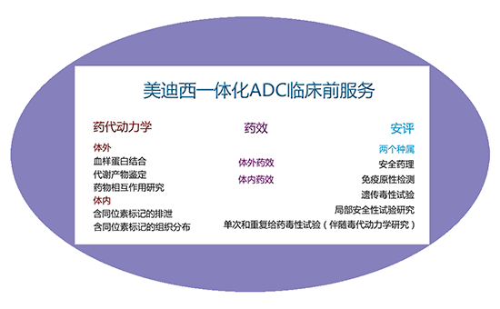 九游会老哥俱乐部一体化ADC临床前效劳