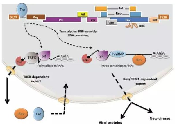九游会老哥必备的交流社区_俱乐部论坛帖子