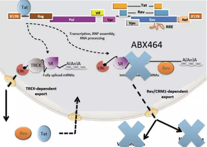 九游会老哥必备的交流社区_俱乐部论坛帖子