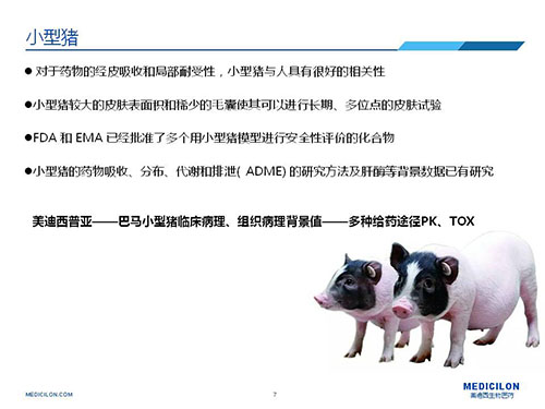 皮肤涂抹试验中，受试动物选择小型猪更好