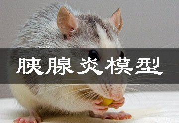 胰腺炎模子