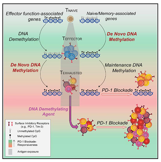 九游会老哥必备的交流社区_俱乐部论坛帖子