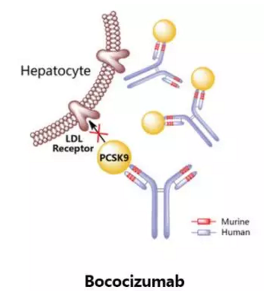 九游会老哥必备的交流社区_俱乐部论坛帖子