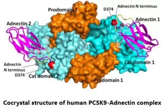 九游会老哥必备的交流社区_俱乐部论坛帖子
