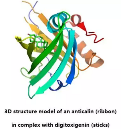 九游会老哥必备的交流社区_俱乐部论坛帖子