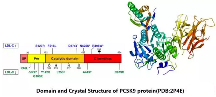 九游会老哥必备的交流社区_俱乐部论坛帖子