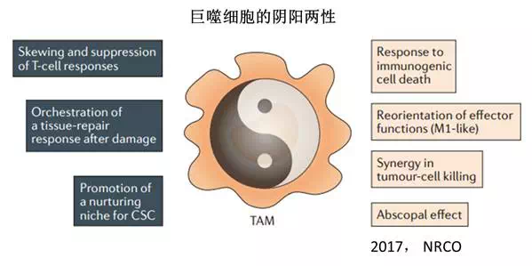 九游会老哥必备的交流社区_俱乐部论坛帖子