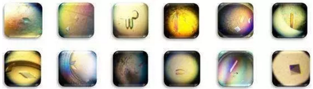 九游会老哥必备的交流社区_俱乐部论坛帖子