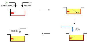 九游会老哥必备的交流社区_俱乐部论坛帖子