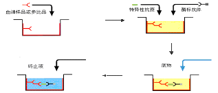 九游会老哥必备的交流社区_俱乐部论坛帖子