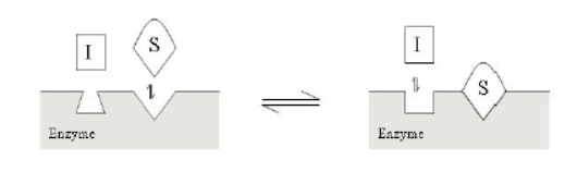 九游会老哥必备的交流社区_俱乐部论坛帖子
