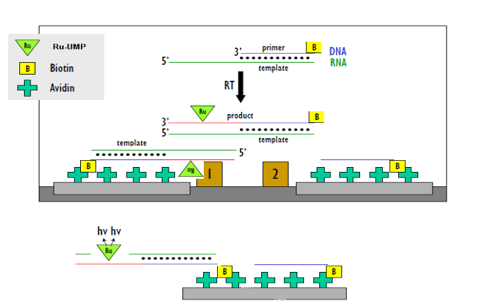 九游会老哥必备的交流社区_俱乐部论坛帖子
