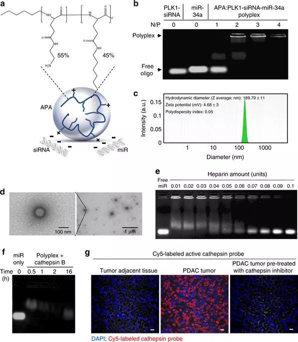 九游会老哥必备的交流社区_俱乐部论坛帖子